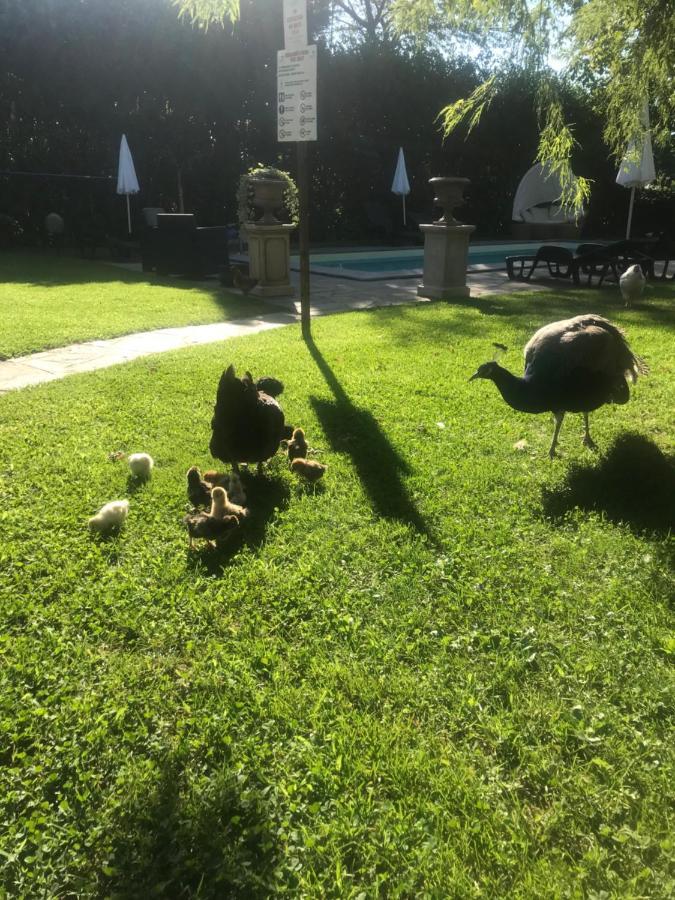 "Ai 4 Soli" Cermenate Exterior foto