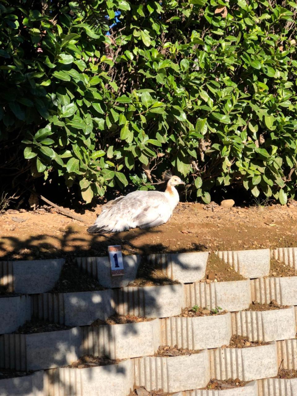 "Ai 4 Soli" Cermenate Exterior foto